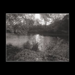 Sunlight on the Taff, Bute Park, Cardiff postcards