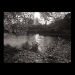 Sunlight on the Taff, Bute Park, Cardiff posters