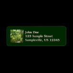 Sunlight on Wooded Path Address Label