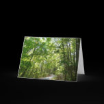 Sunlight on Wooded Path Card