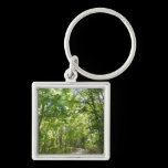 Sunlight on Wooded Path Keychain
