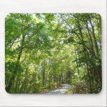 Sunlight on Wooded Path Mousepad
