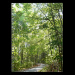 Sunlight on Wooded Path Notebook