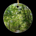 Sunlight on Wooded Path Ornament