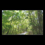 Sunlight on Wooded Path Sticker