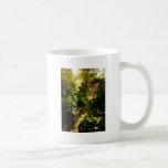Sunlight Over A Garden Path Mugs