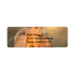 Sunlight Palomino Horse Mailing Label