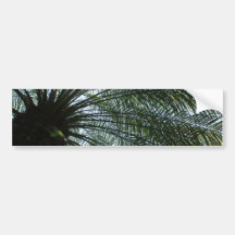Sunlight Peeking Through Palm Tree Bumper Stickers