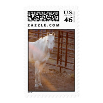 Sunlight & Pinky stamps