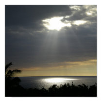 Sunlight Serenity Poster posters by dlgray Sunlight Serenity Poster posters