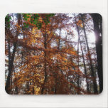 Sunlight Through Fall Tree Mousepad