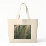 Sunlight Through Forrest bags