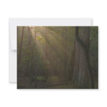 Sunlight Through Forrest invitations by PhotoJoeVa Sunlight Through Forrest invitations