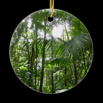 Sunlight Through Rain Forest Canopy Ornament ornaments