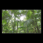 Sunlight Through Rainforest Canopy Rectangular Sti Rectangle Stickers