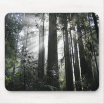 Sunlight through the Redwoods mousepads