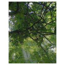 Sunlight Through Trees flyers by made_in_atlantis Sunlight Through Trees flyers