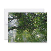 Sunlight Through Trees invitations by made_in_atlantis Sunlight Through Trees invitations