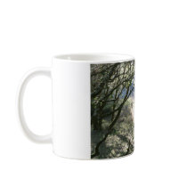 Sunlight Through Trees mugs