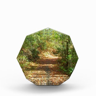 Sunlit Autumn Forest Trail Acrylic Award