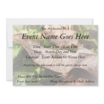 Sunlit Baby Spider Personalized Invites