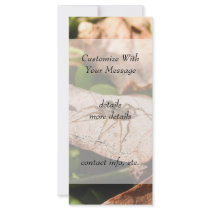 Sunlit Baby Spider Rack Card Template