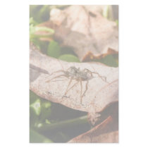 Sunlit Baby Spider Customized Stationery