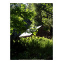 Sunlit Barn Roof #1 posters