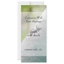 Sunlit Black Ant Personalized Rack Card