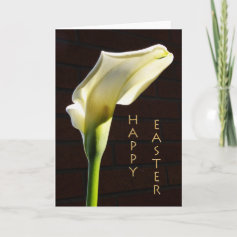 sunlit calla lily easter card