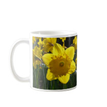 Sunlit Daffodil Coffee Mug