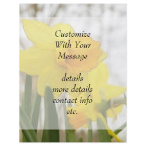 Sunlit Daffodils Full Color Flyer