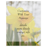 Sunlit Daffodils flyers