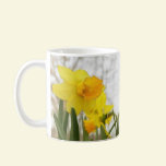 Sunlit Daffodils mugs