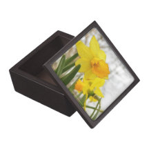 Sunlit Daffodils Premium Jewelry Box