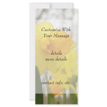 Sunlit Daffodils Rack Cards