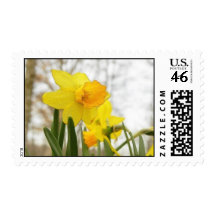 Sunlit Daffodils Stamp