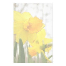 Sunlit Daffodils Stationery