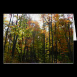Sunlit Fall Forest Card (Blank Inside)