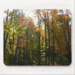 Sunlit Fall Forest Mousepad