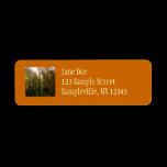 Sunlit Fall Forest Return Address Label