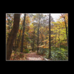 Sunlit Fall Trail Postcard