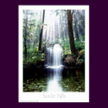 Sunlit Falls