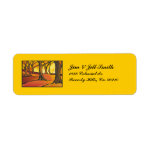 Sunlit Forest Set Return Address Label Sunlit Forest Set Return Address Label