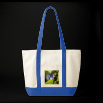 Sunlit Glory bags