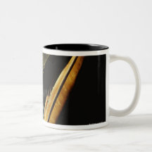 Sunlit Harp Coffee Mug