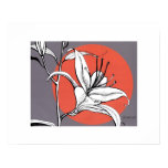 SUNLIT LILY 1 by CR SINCLAIR posters