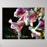 Sunlit Lily Flower Garden art print Pink Lilies
