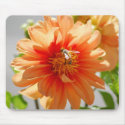 Sunlit Orange Dahlia Mousepad