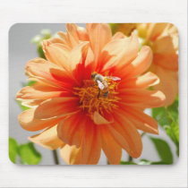 Sunlit Orange Dahlia Mousepad